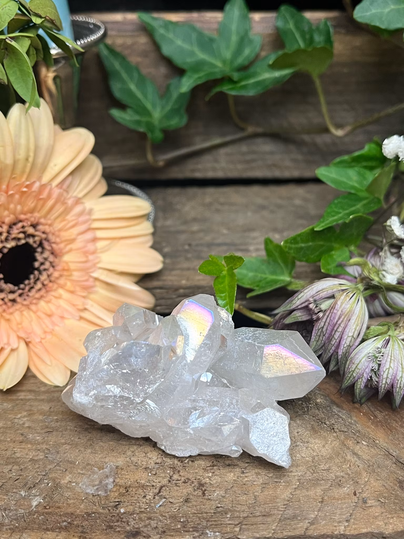 Angel Aura kvarts, kluster #D