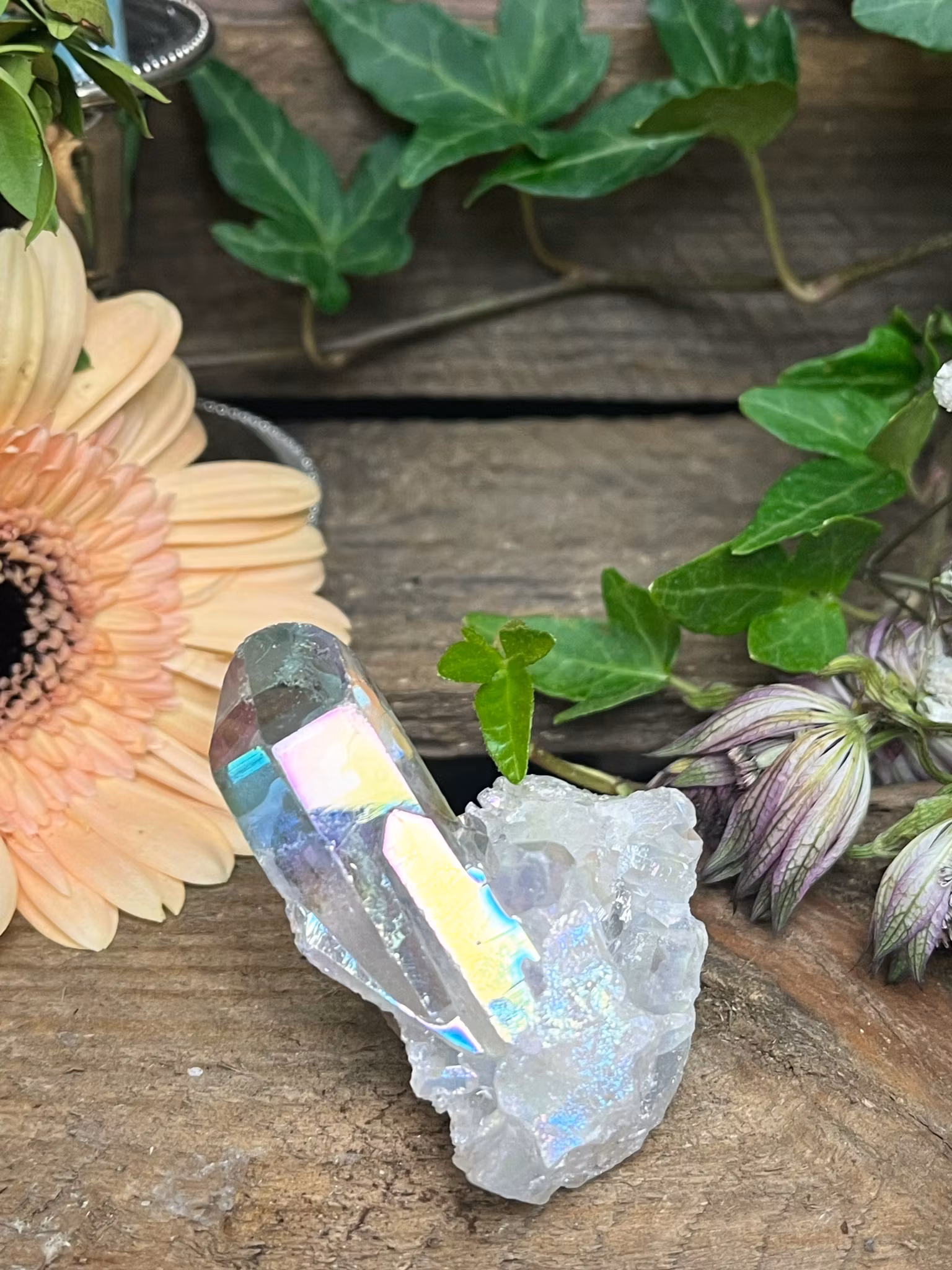 Angel Aura kvarts, kluster #F