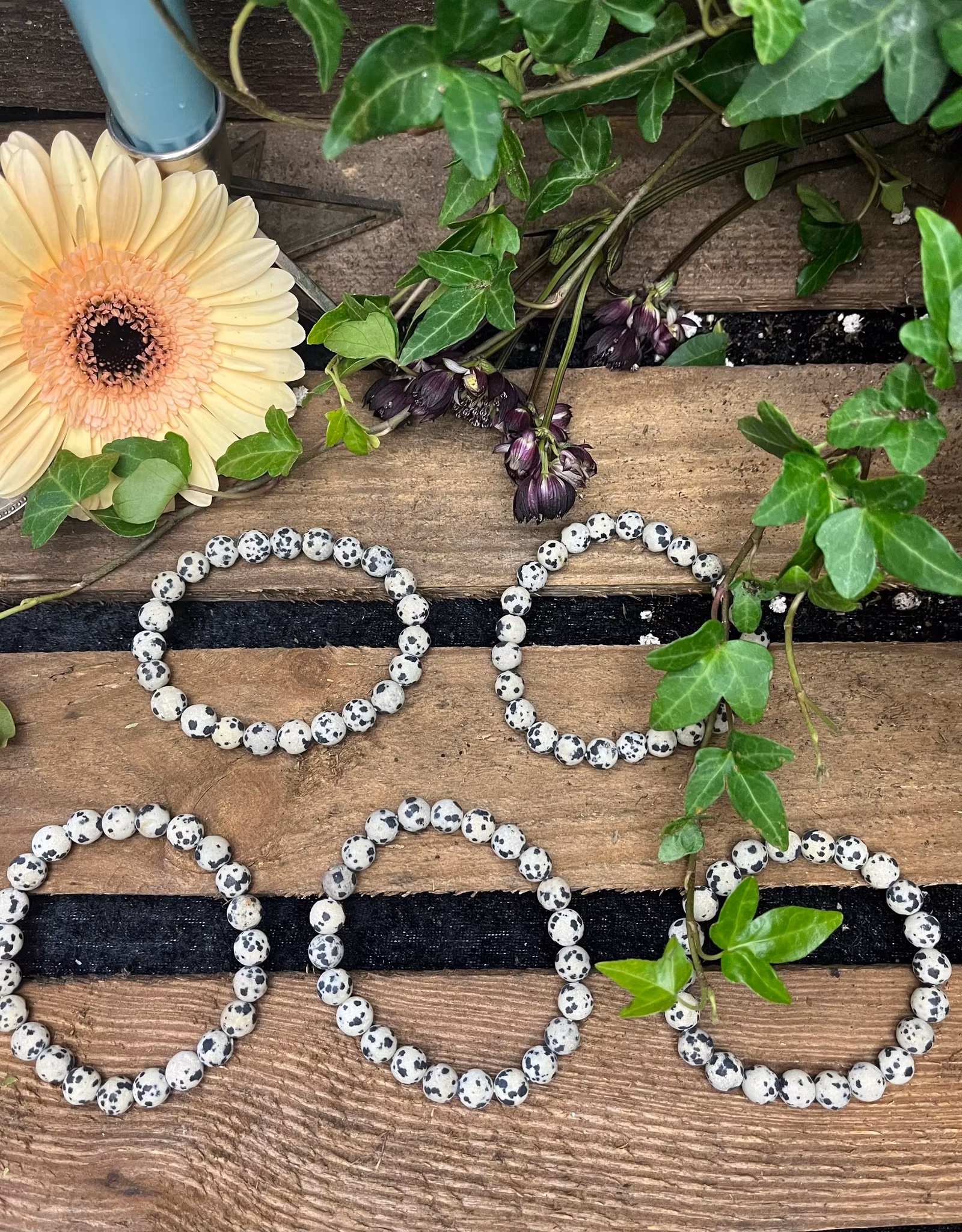 Jaspis, Dalmatine Armband Rund