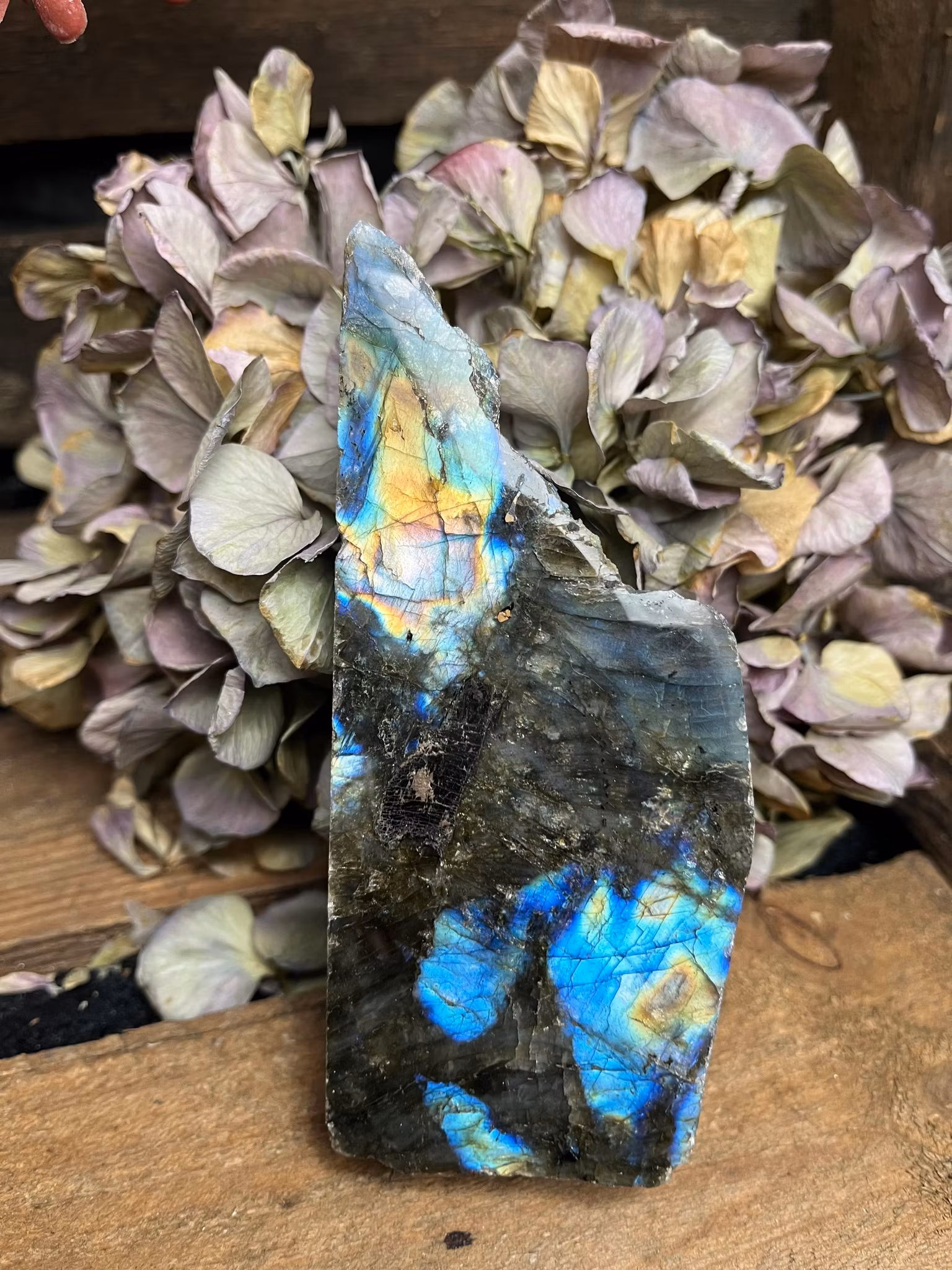 Labradorit Halvpolerad #B