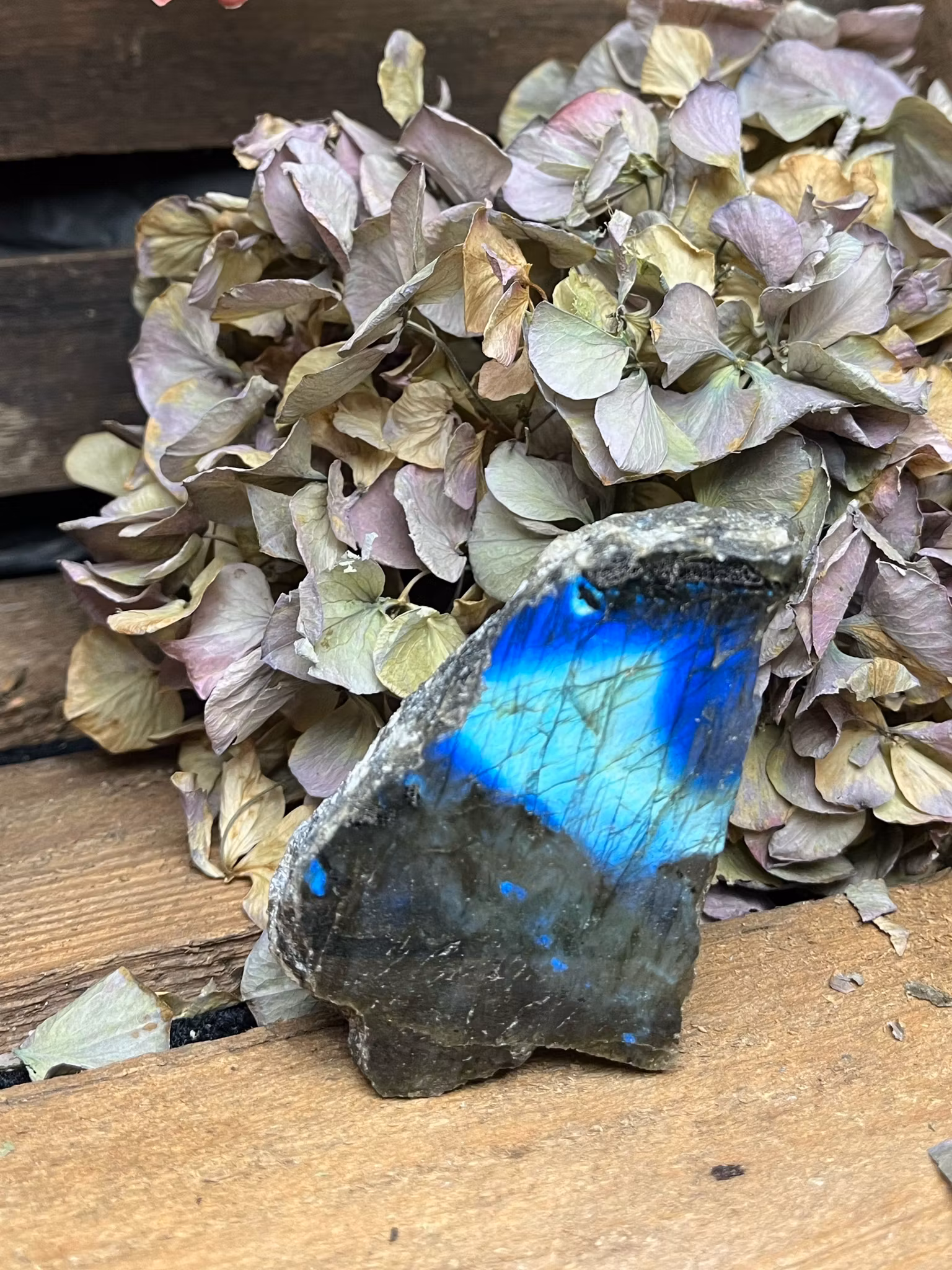 Labradorit Halvpolerad #H