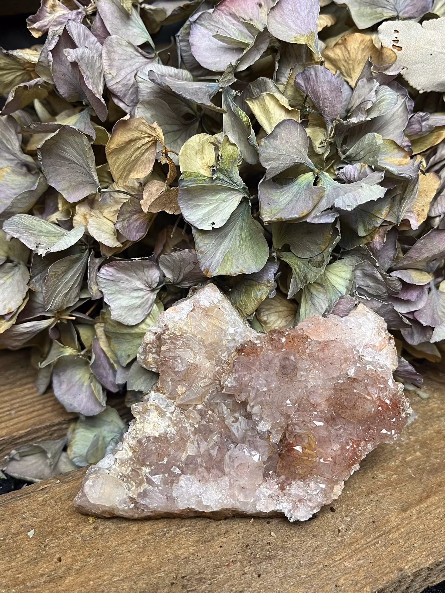 Ametist med hematoid kluster #5