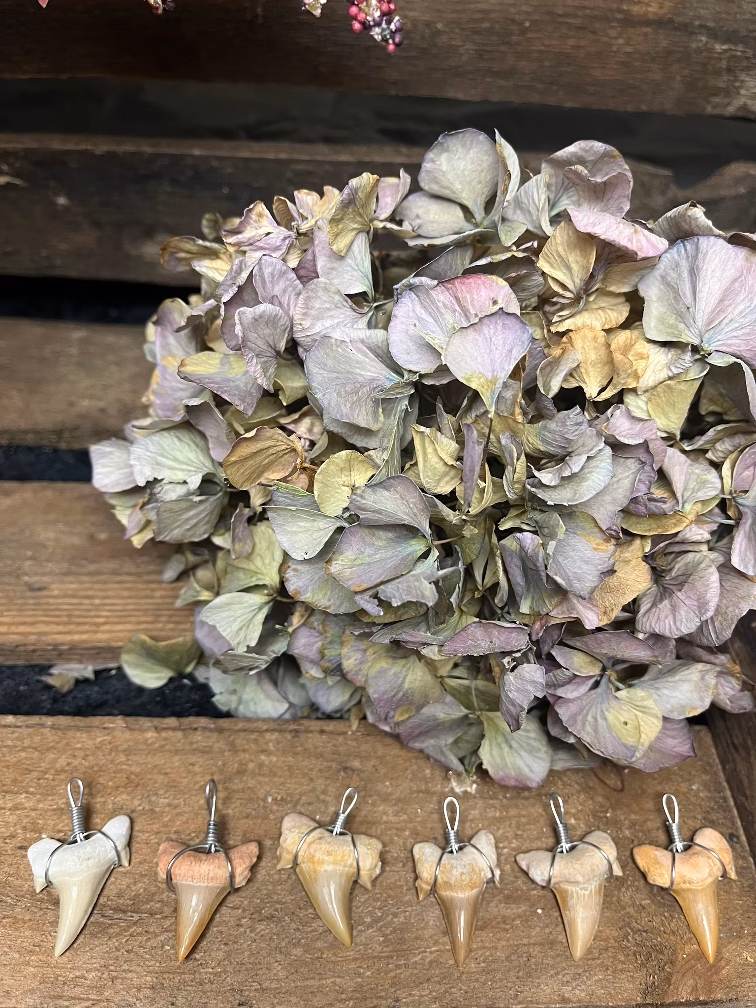 Fossila hajtänder hänge