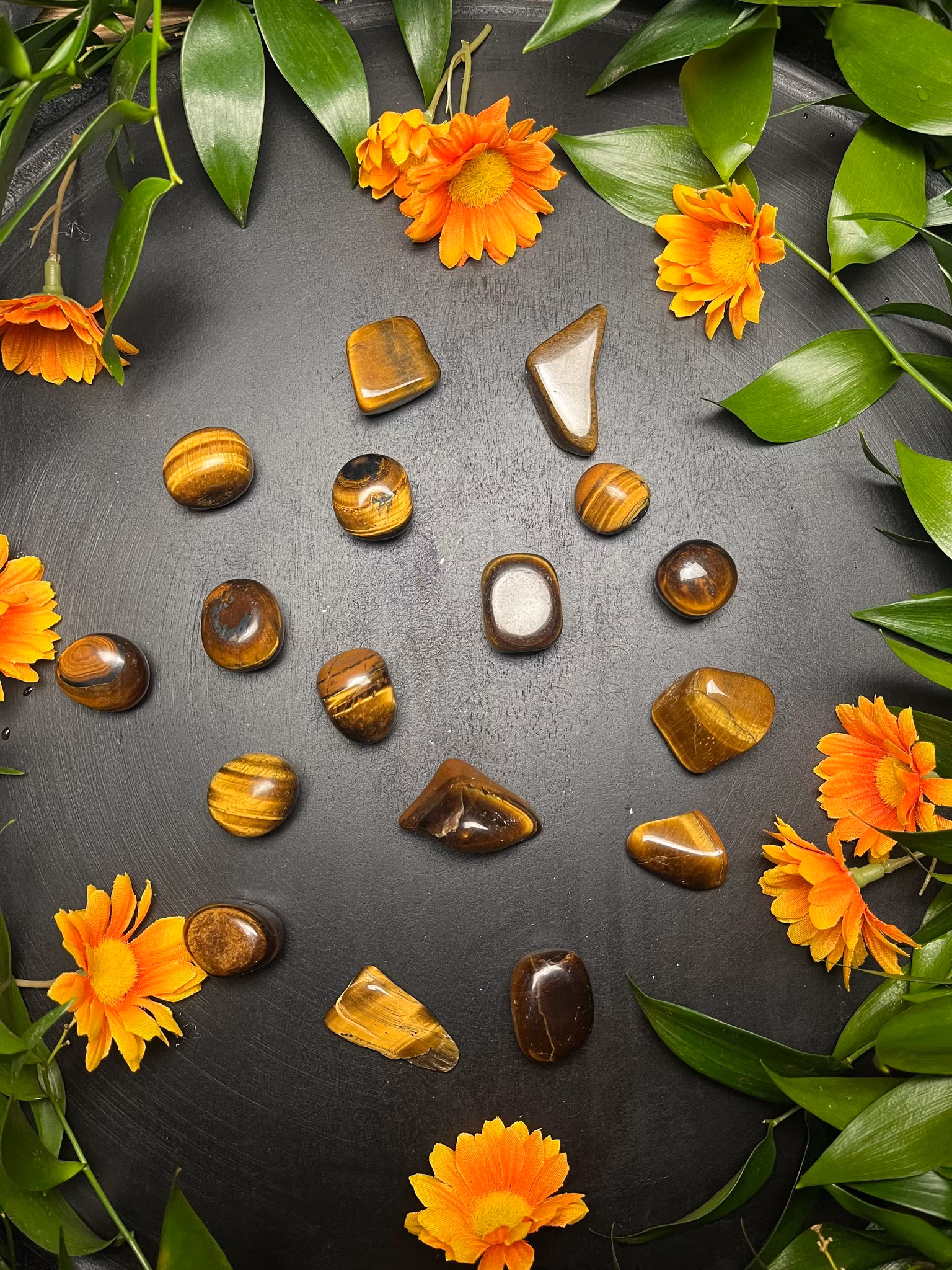 Tigeröga  (trumlade)