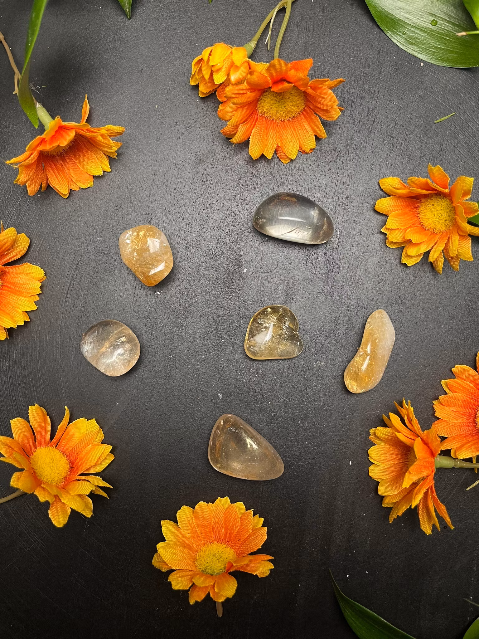 Aura Sunrise, Trumlade