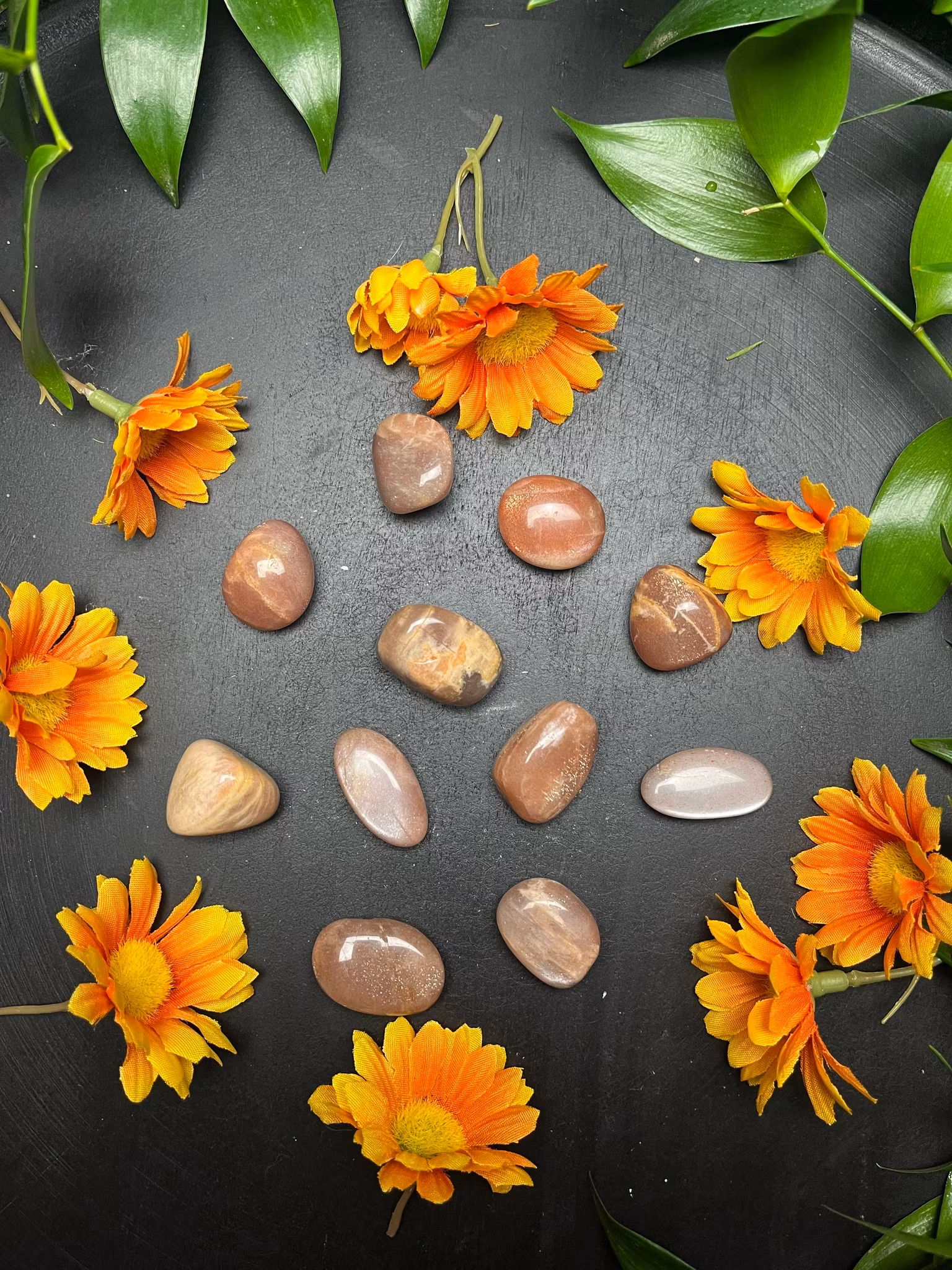 Månsten, Persiko Trumlade