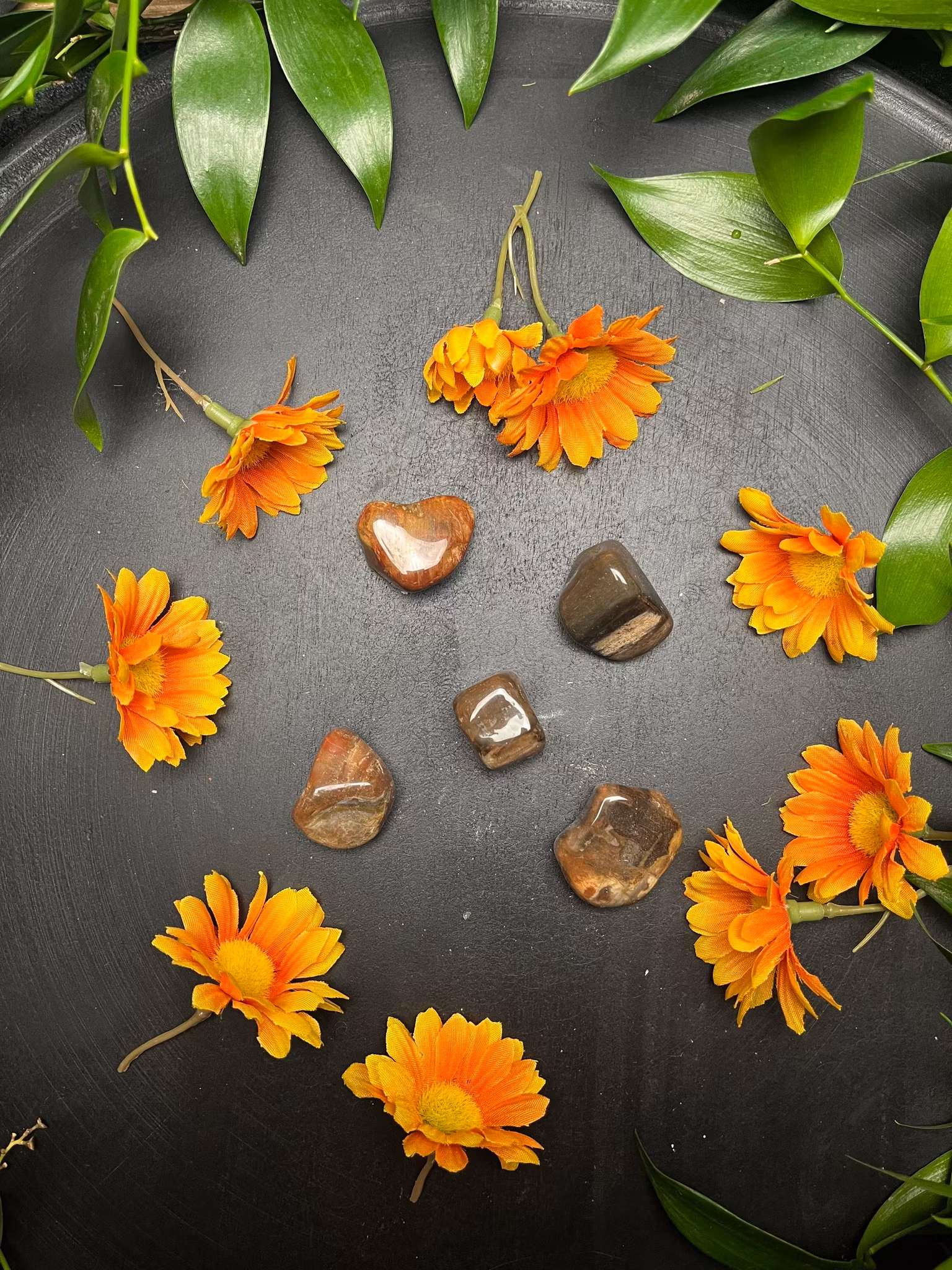 Förstenat, trä trumlade AA liten