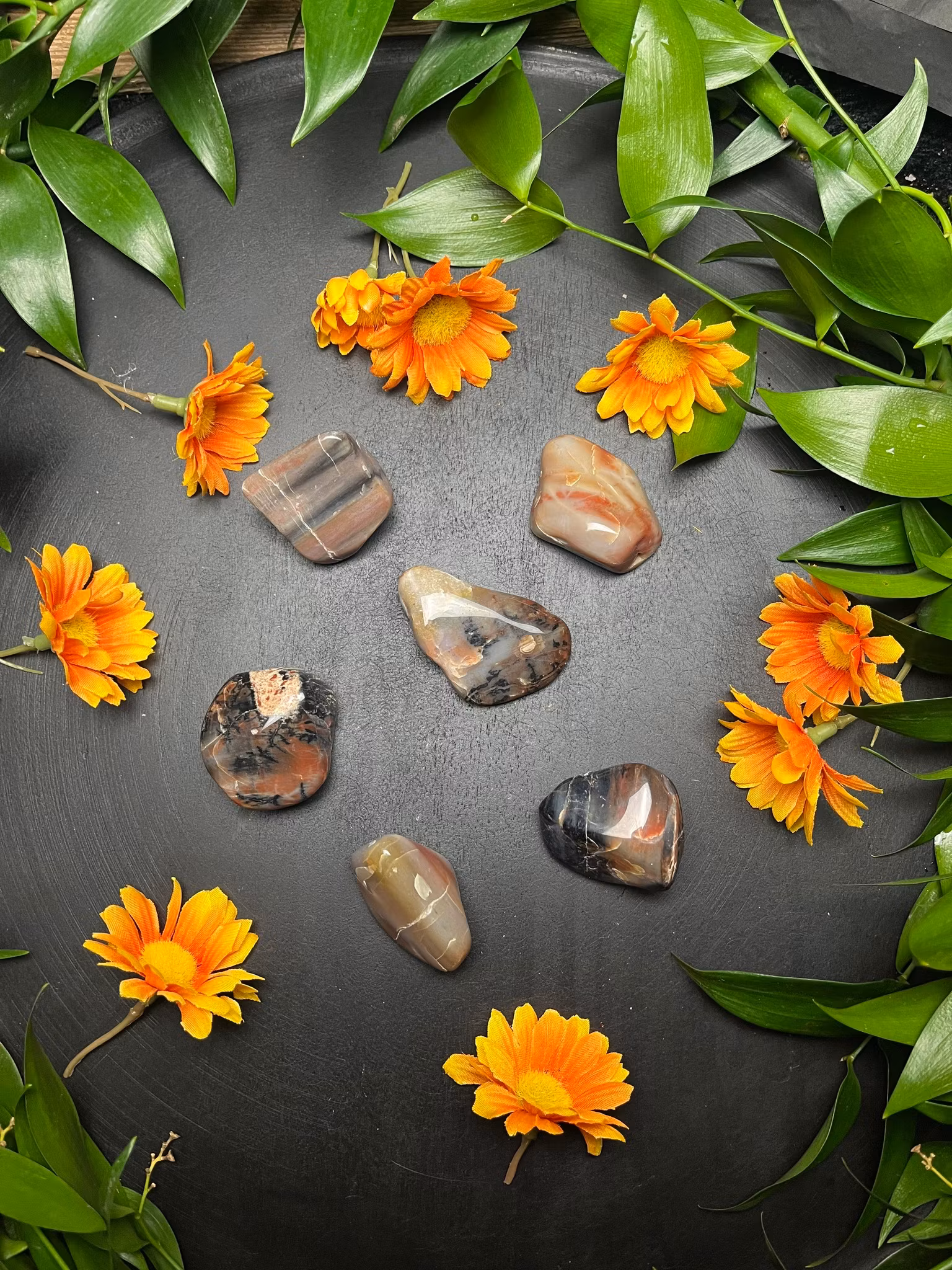 Förstenat, trä trumlade AA mellan