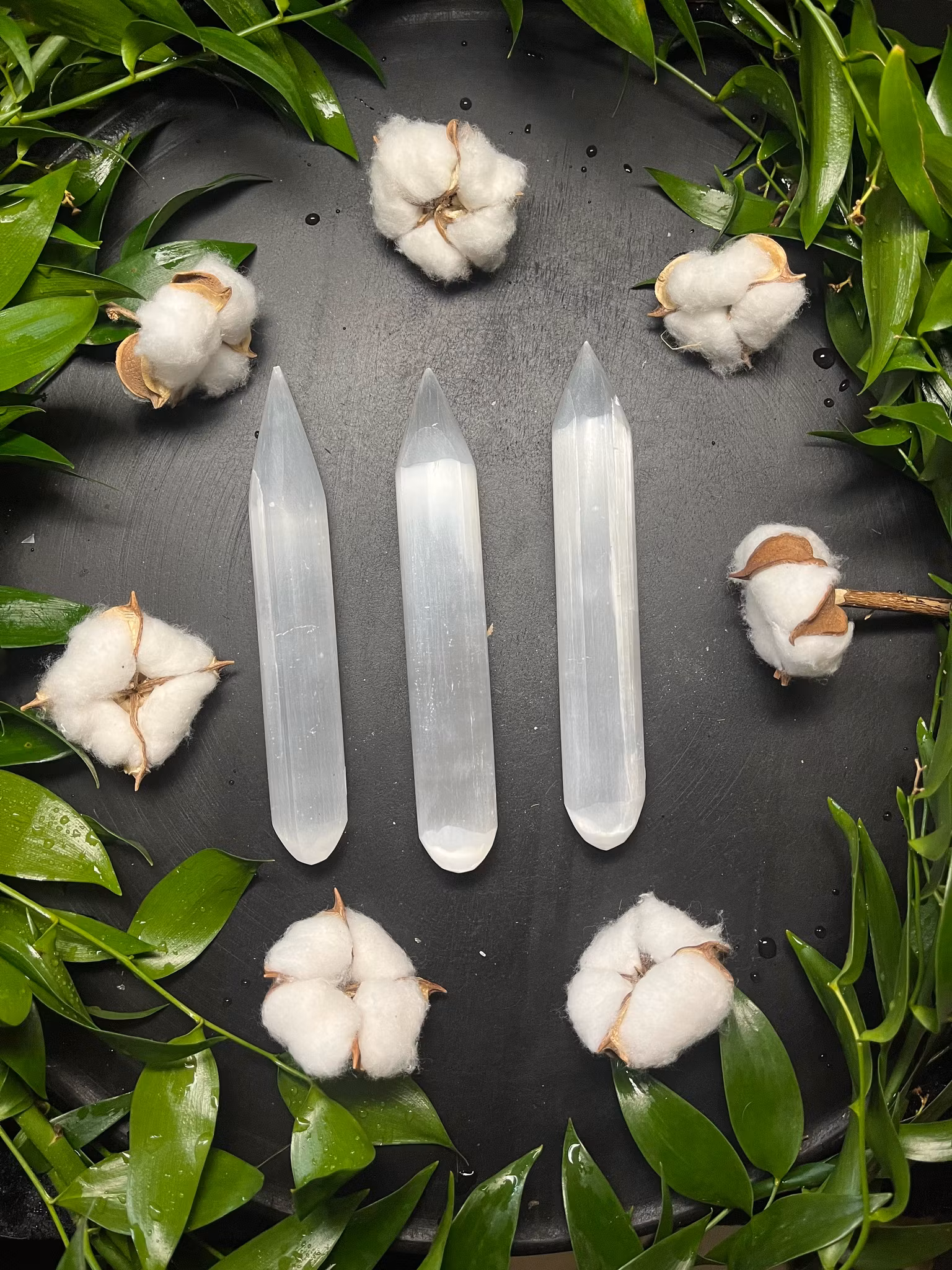 Selenit, Vit Stav med Spets