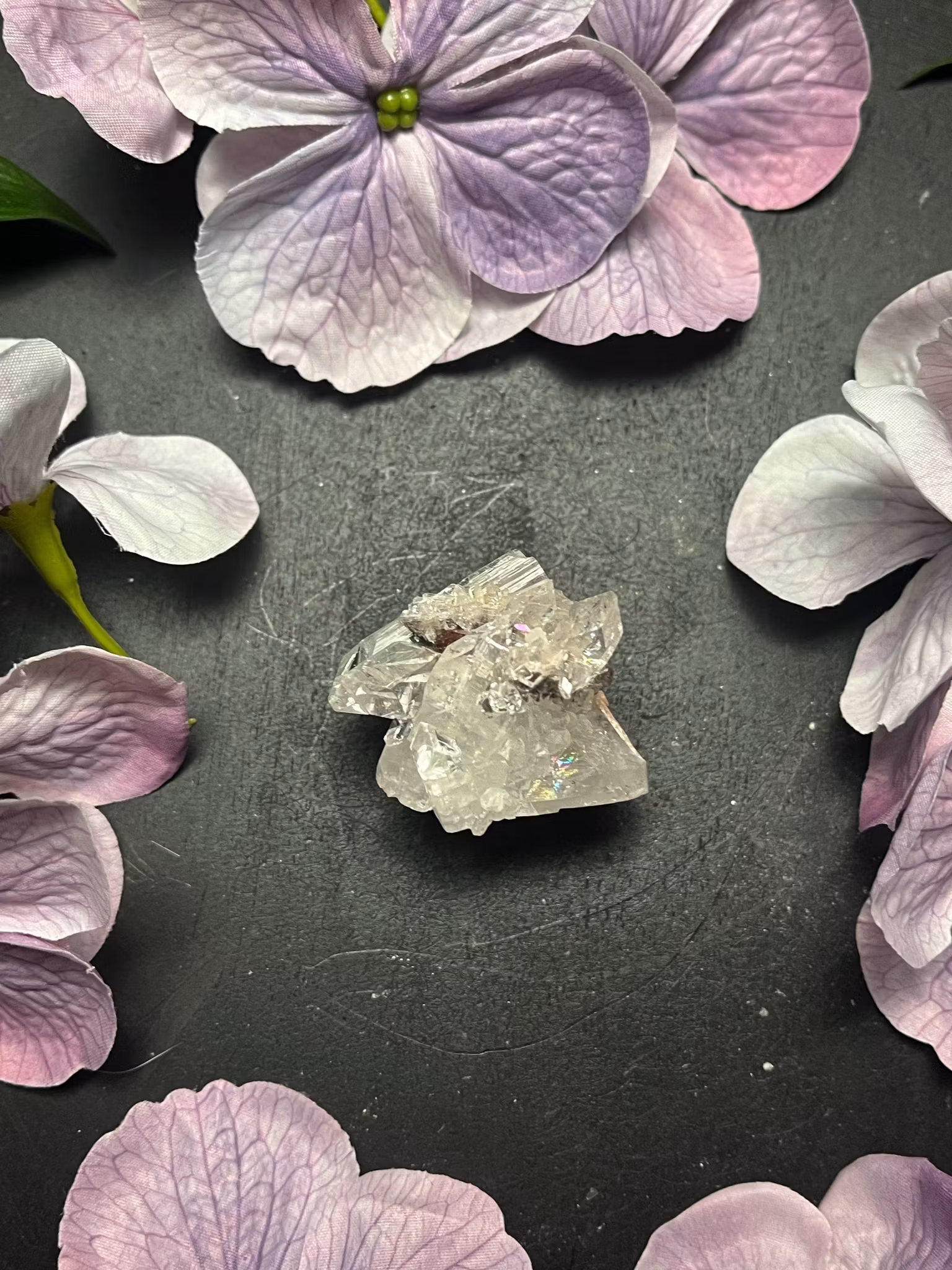 Apofyllit, mini kluster #J högsta kvalitet AAA