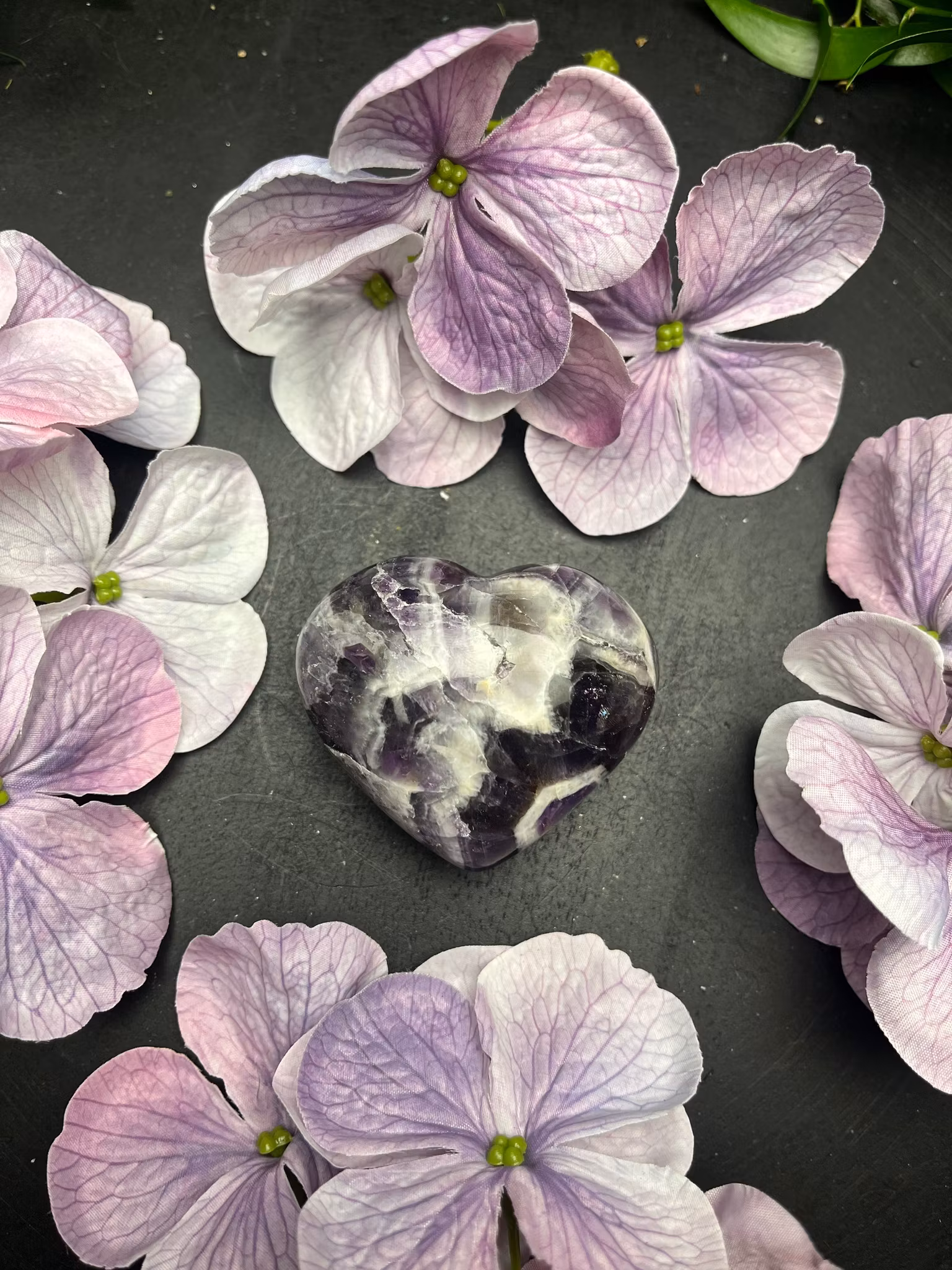 Band Ametist, hjärta D