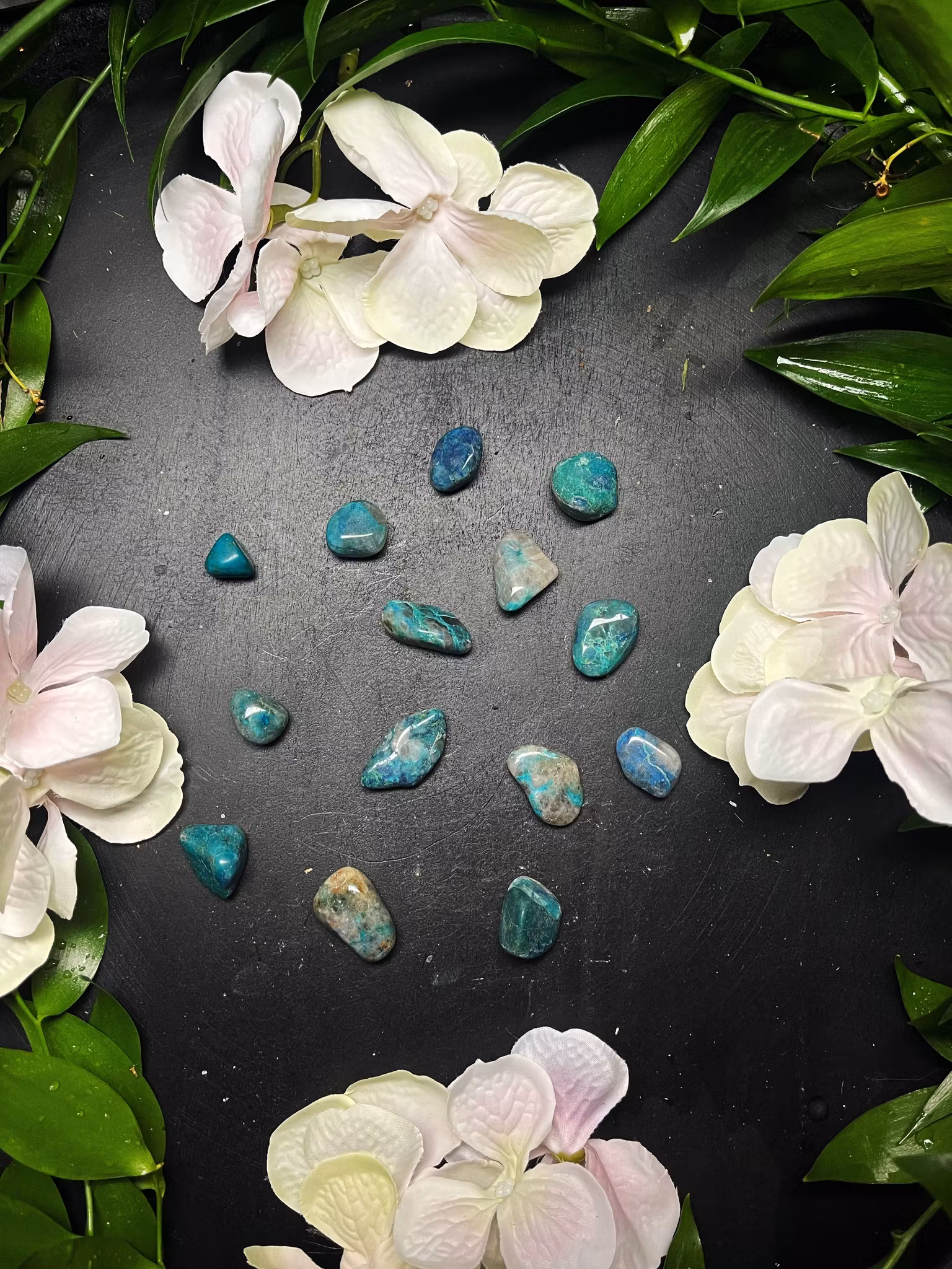 Quantum Quatro, Trumlad