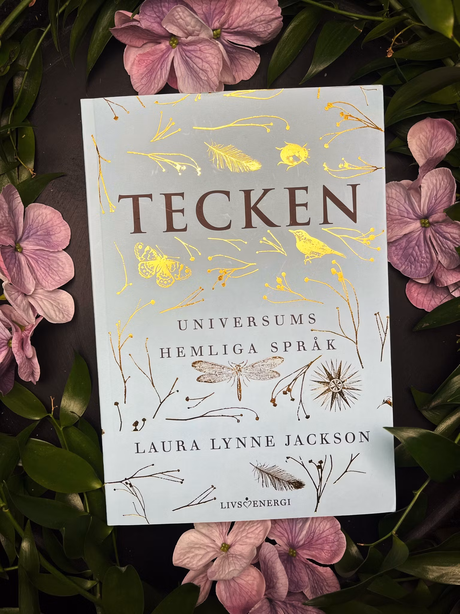 Tecken, universums hemliga språk