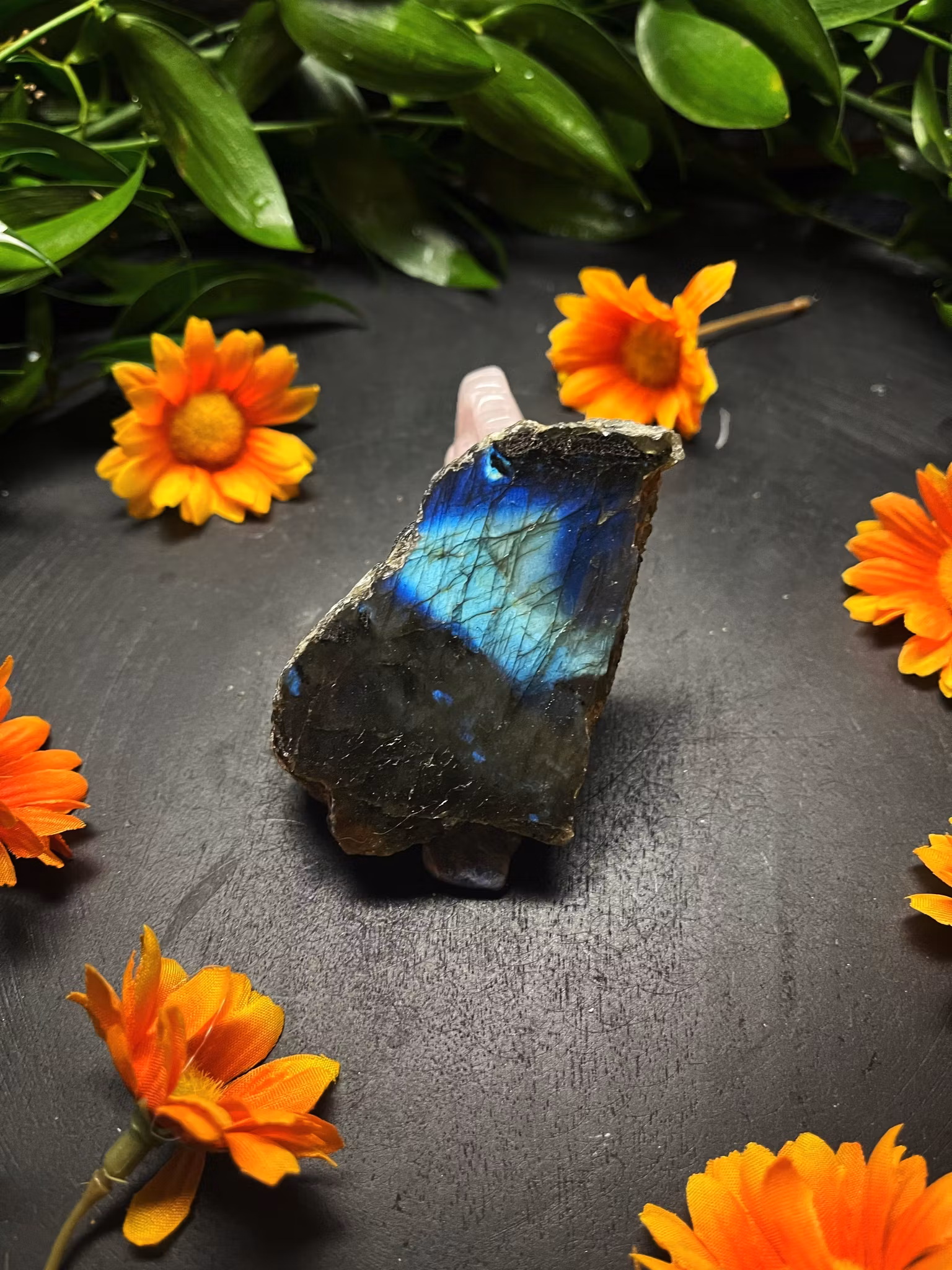 Labradorit Halvpolerad #H