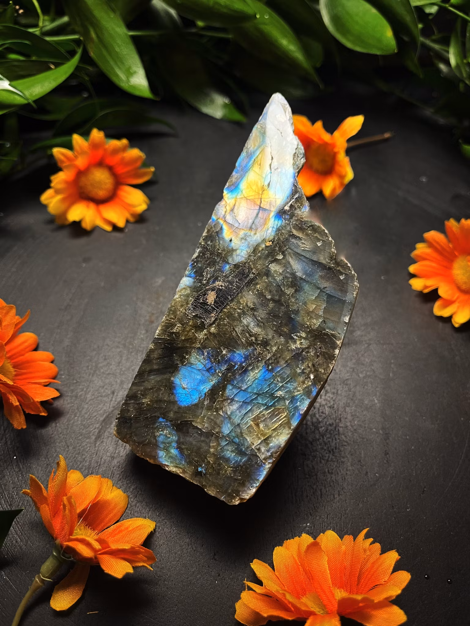 Labradorit Halvpolerad #B