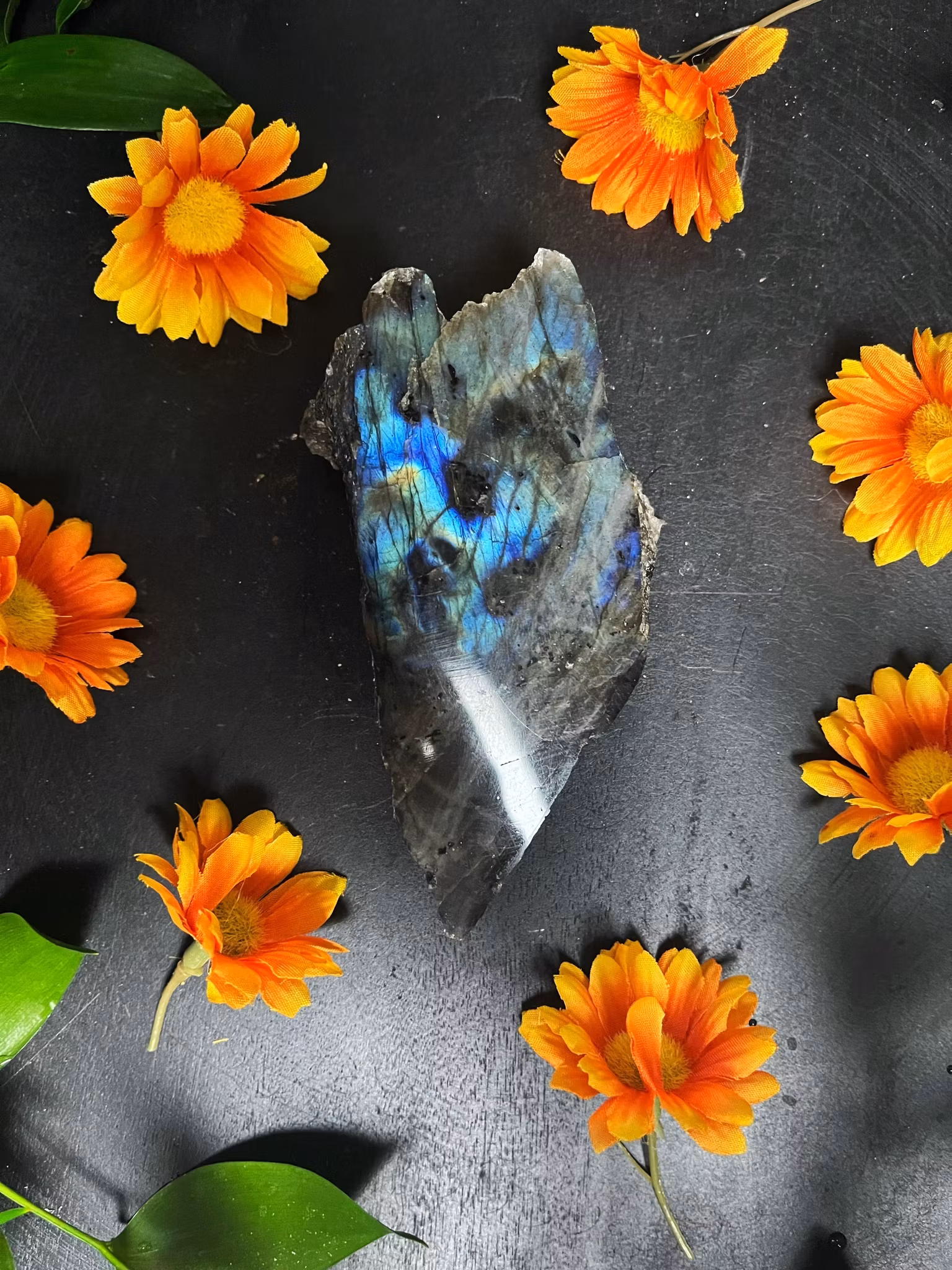 Labradorit Halvpolerad #D