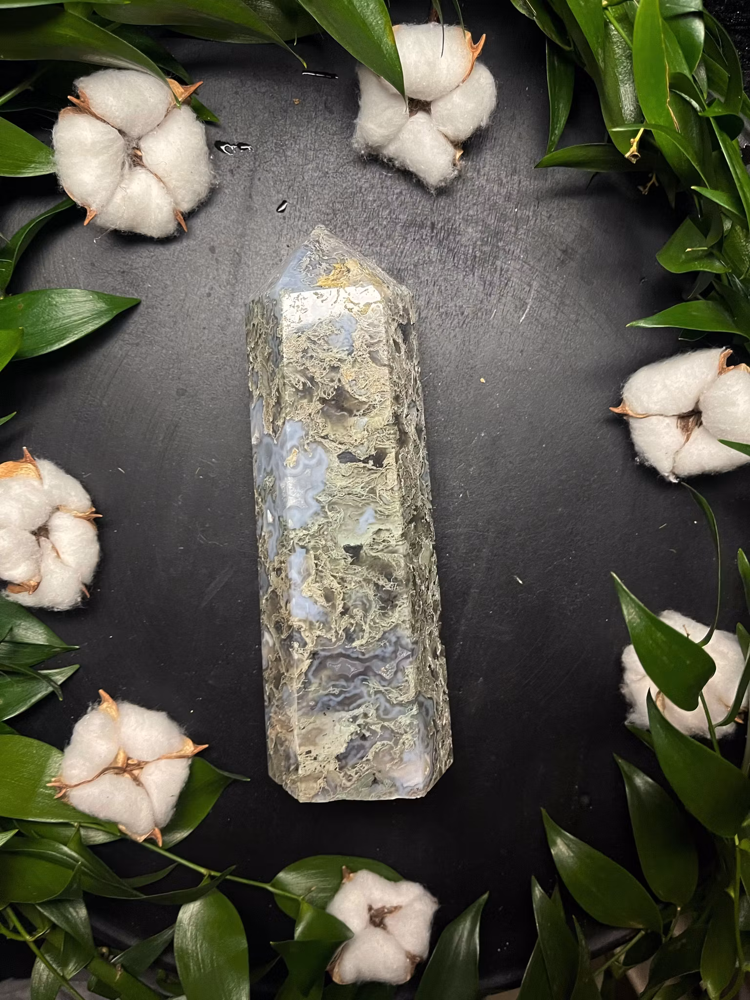 Moss agat torn polerade L