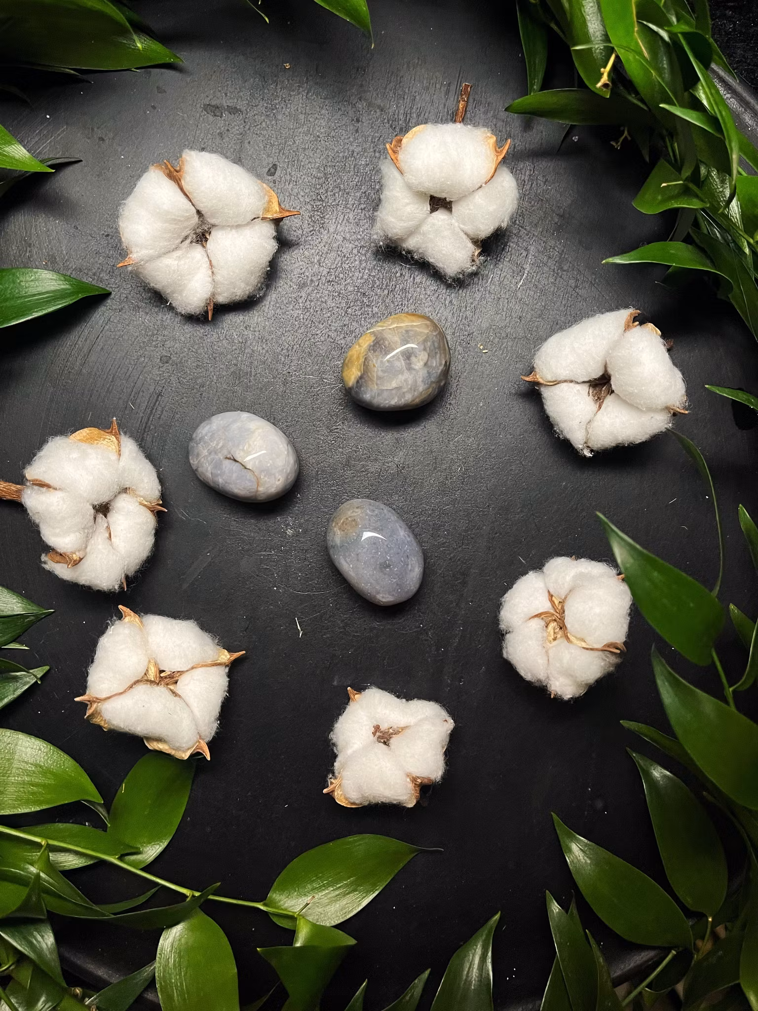 Kalcedon cuddlestone