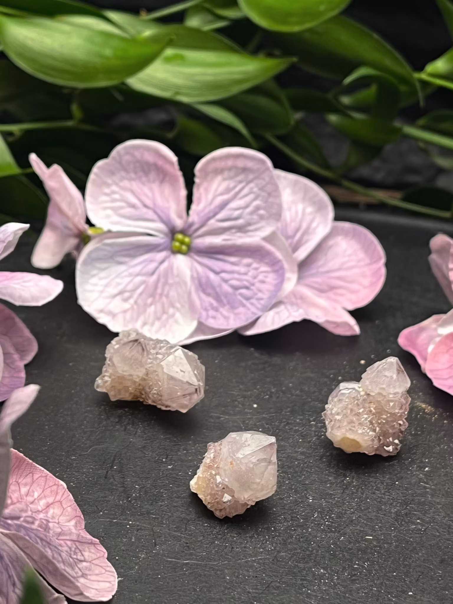 Andekvarts mini spets