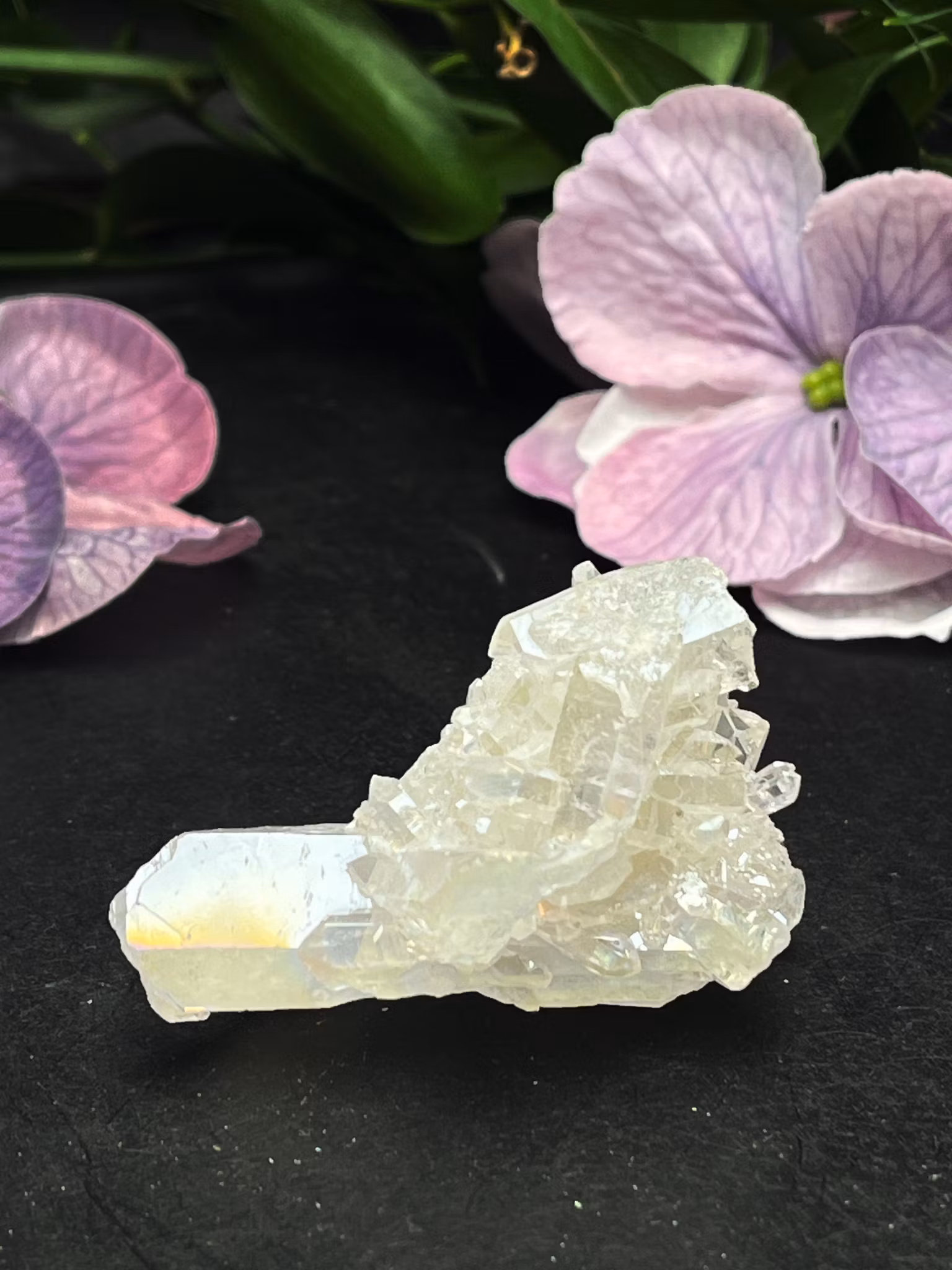 Angel Aura kvarts, kluster #E