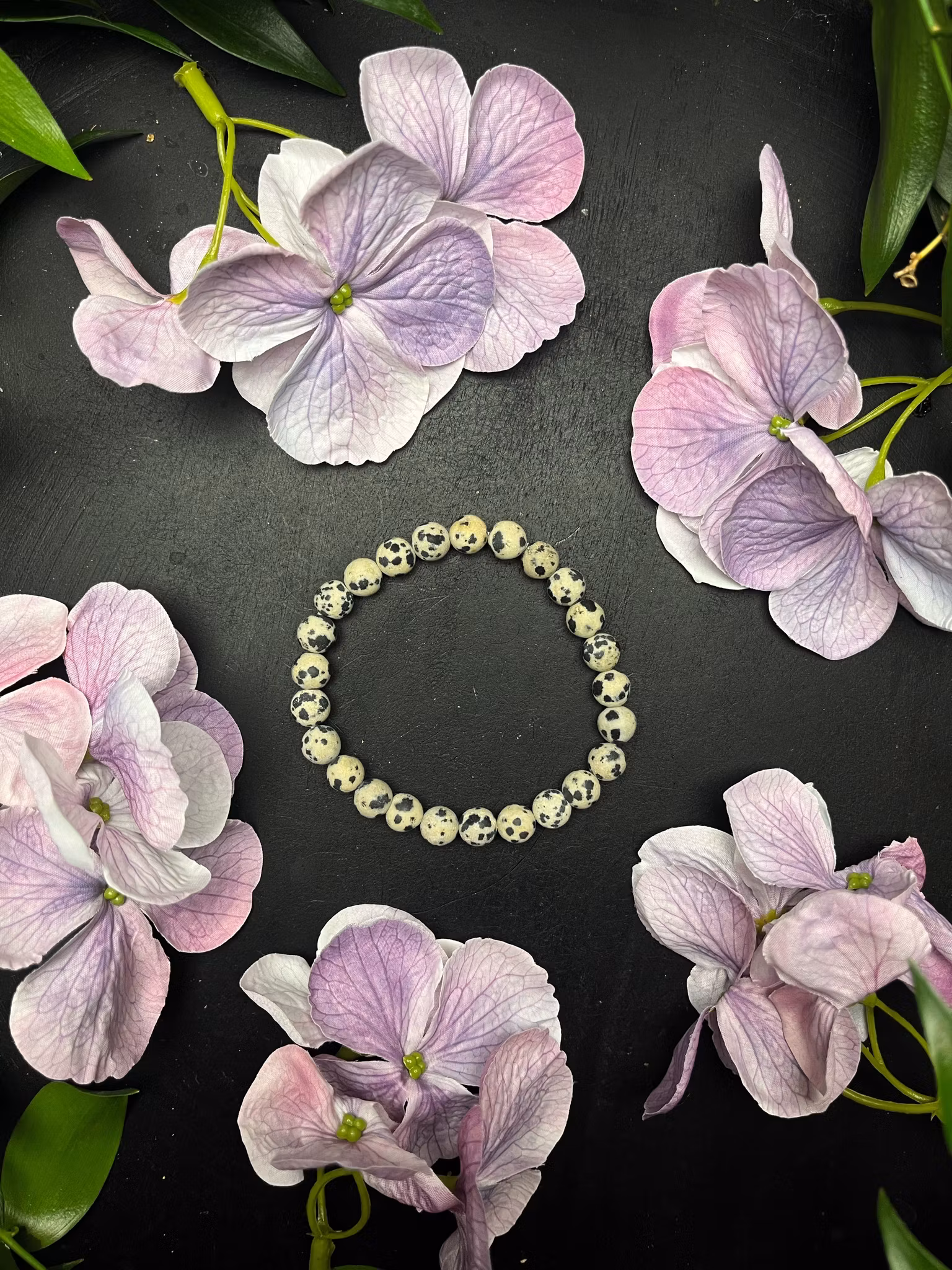 Jaspis, Dalmatine Armband Rund