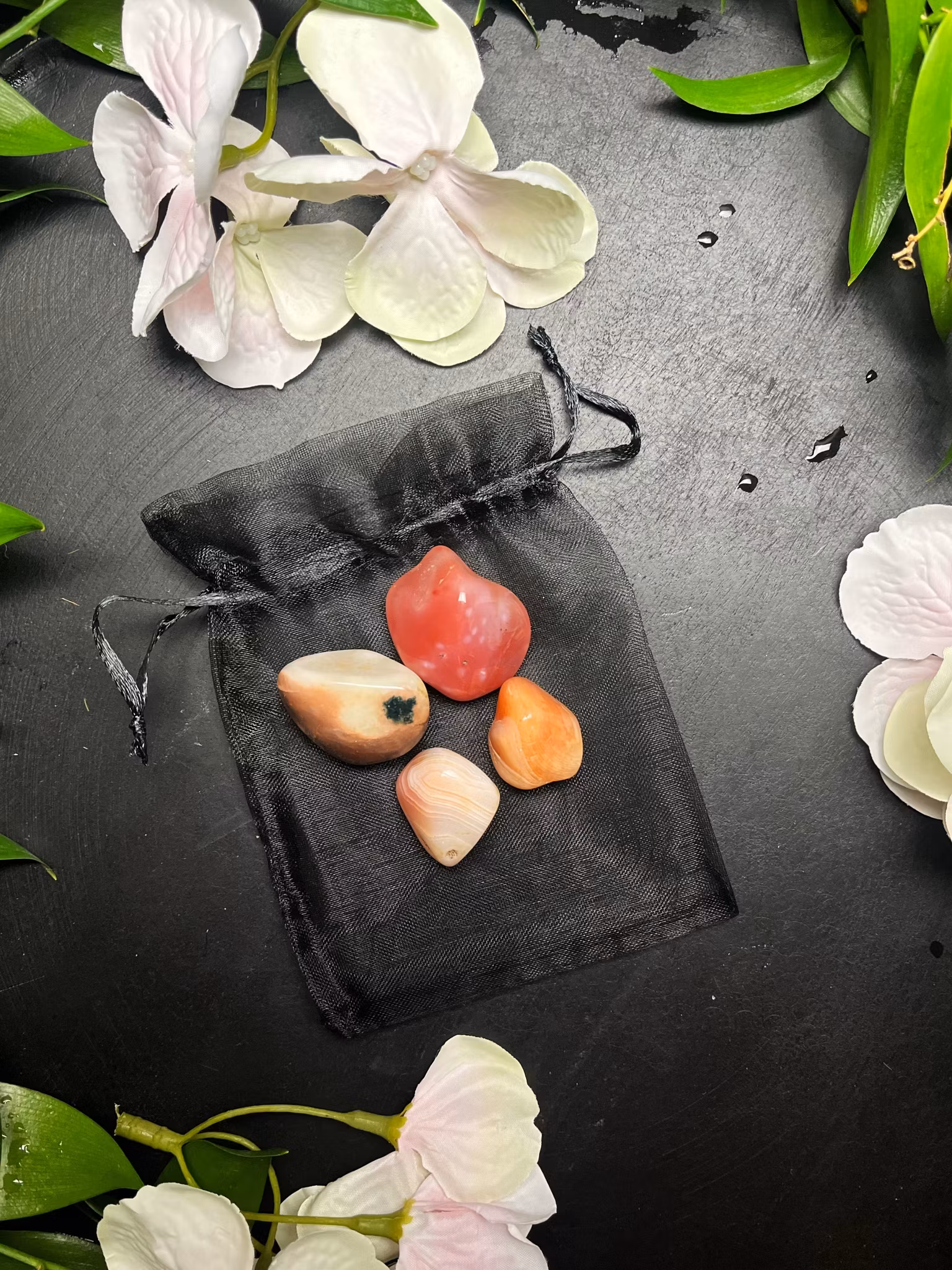 Agat, Aprikos Trumlade 4-pack