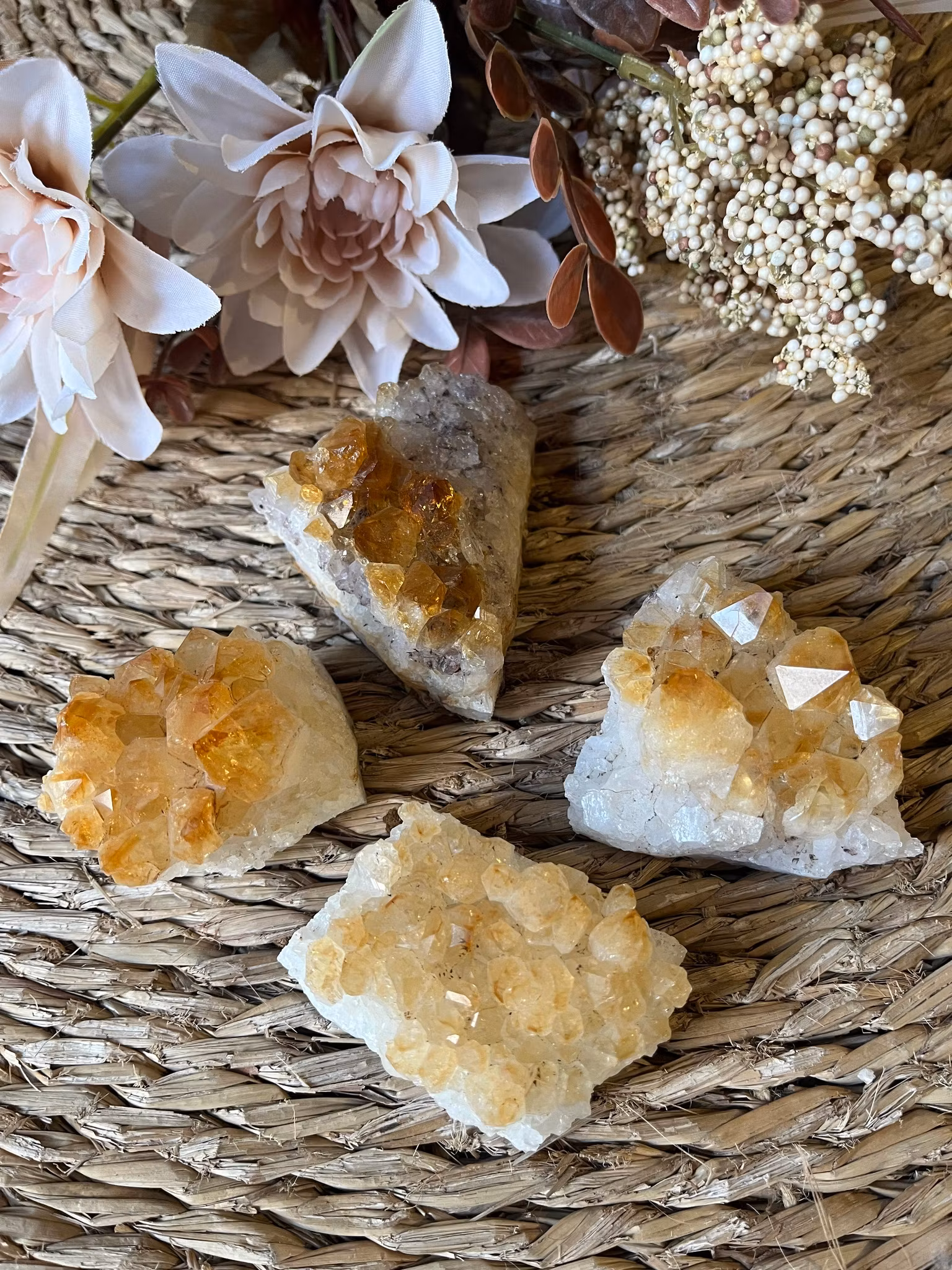 Citrin kluster medium