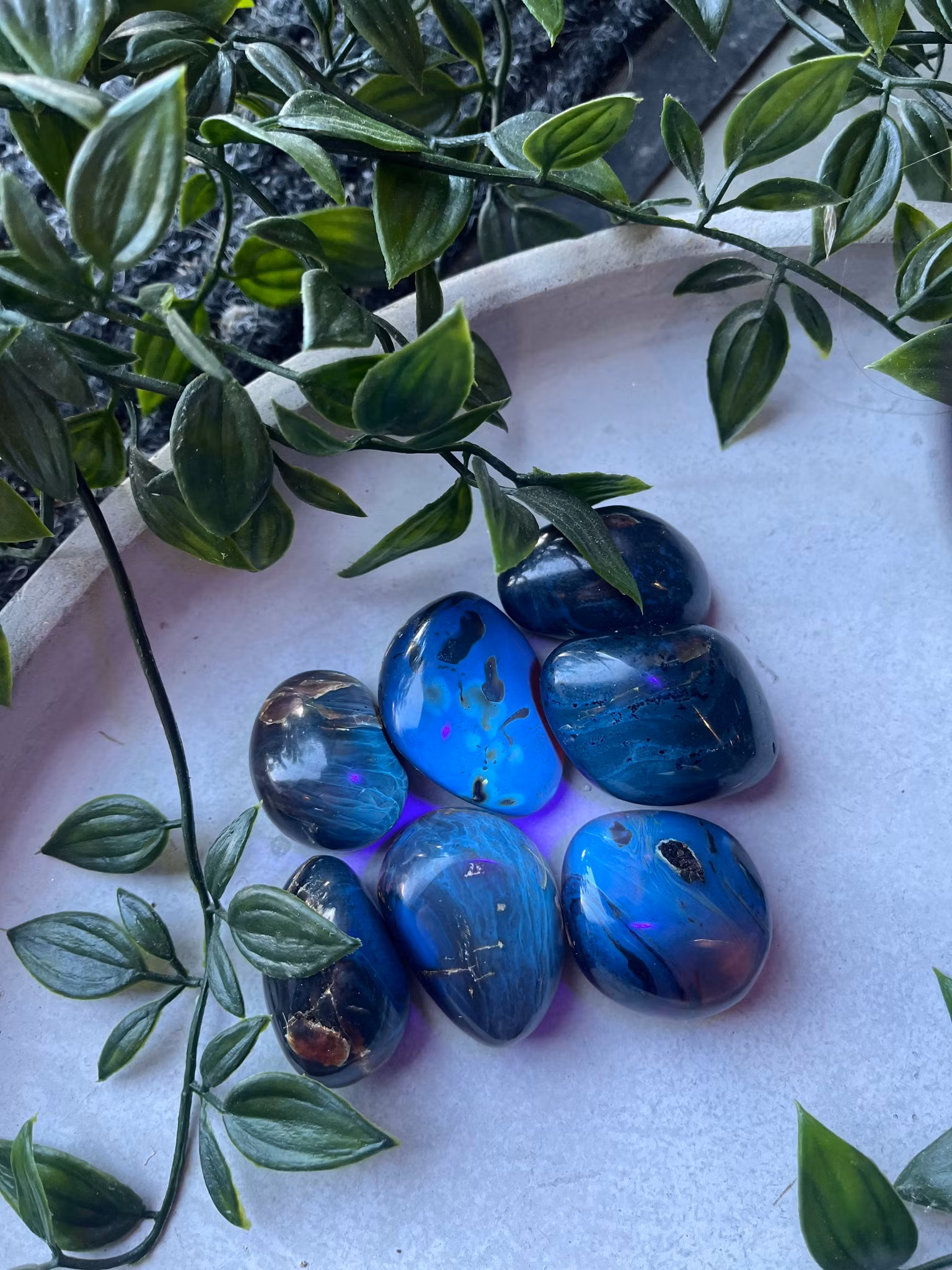 Bärnsten Bumling Indonesien