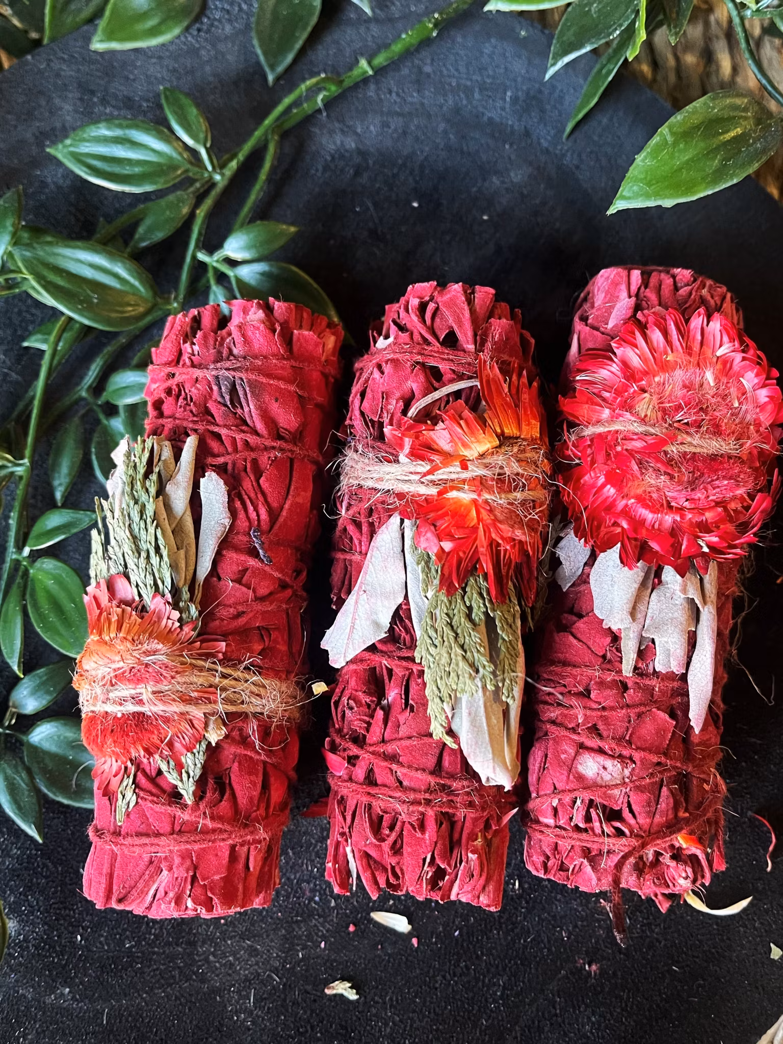 🔥 Jolly Holiday – Dragon’s Blood Sage