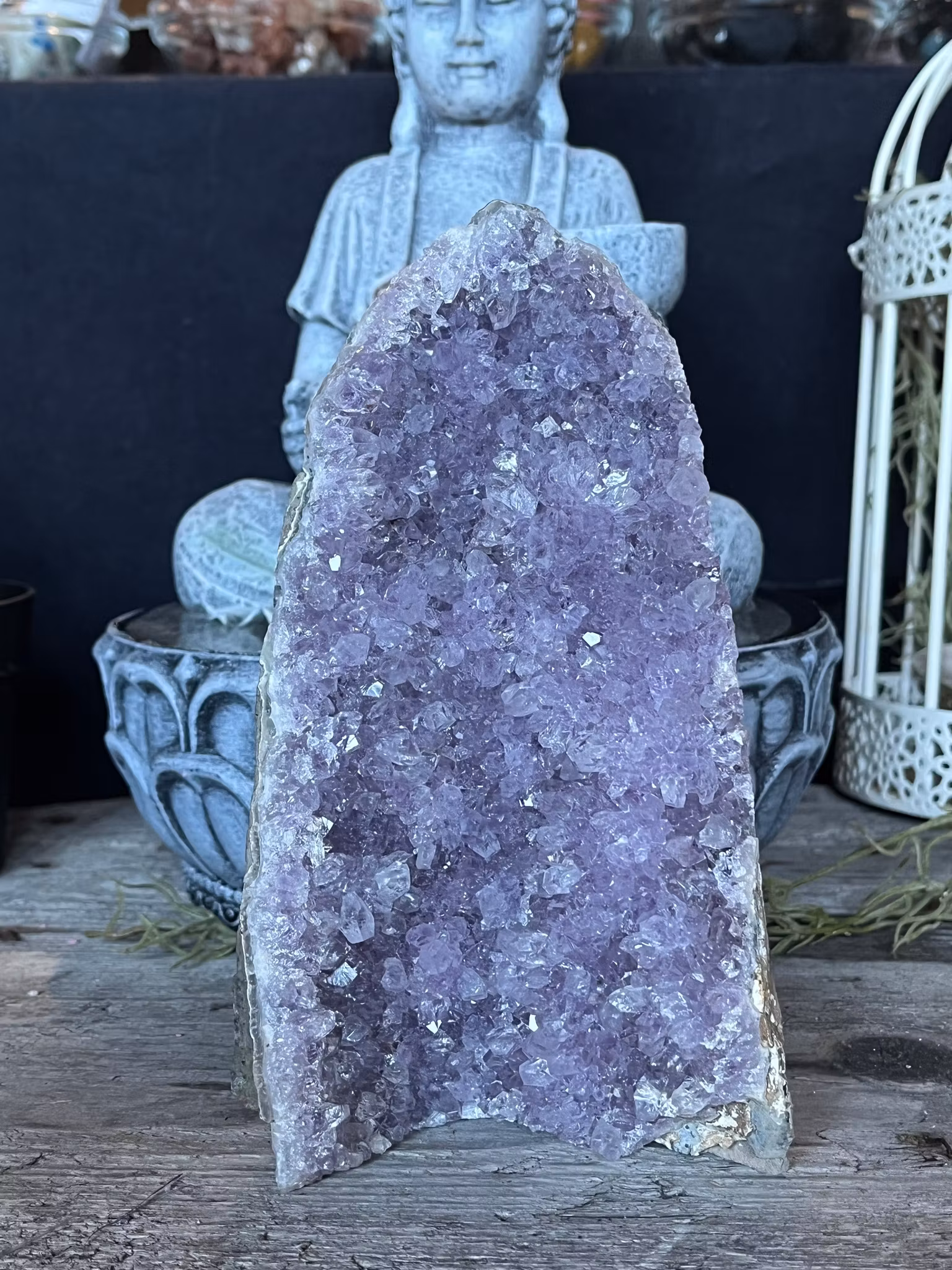 Ametist stående kluster #4