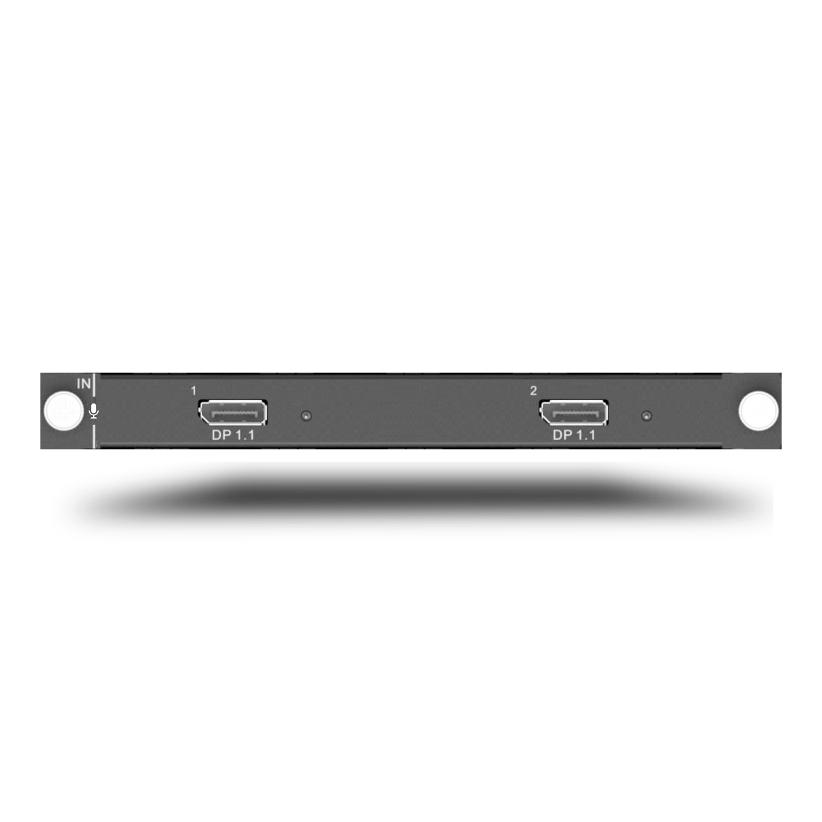 H_2xDP1.1 input card