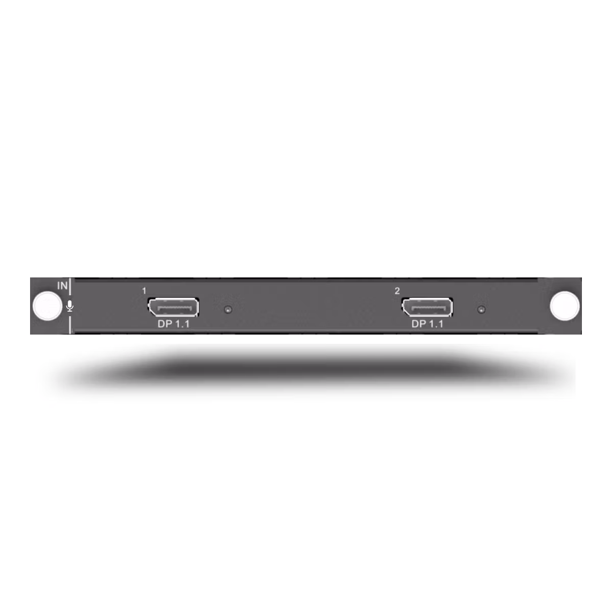 H_2xDP1.1 input card