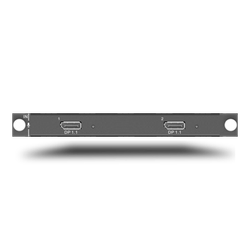 H_2xDP1.1 input card