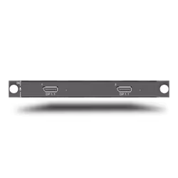 H_2xDP1.1 input card