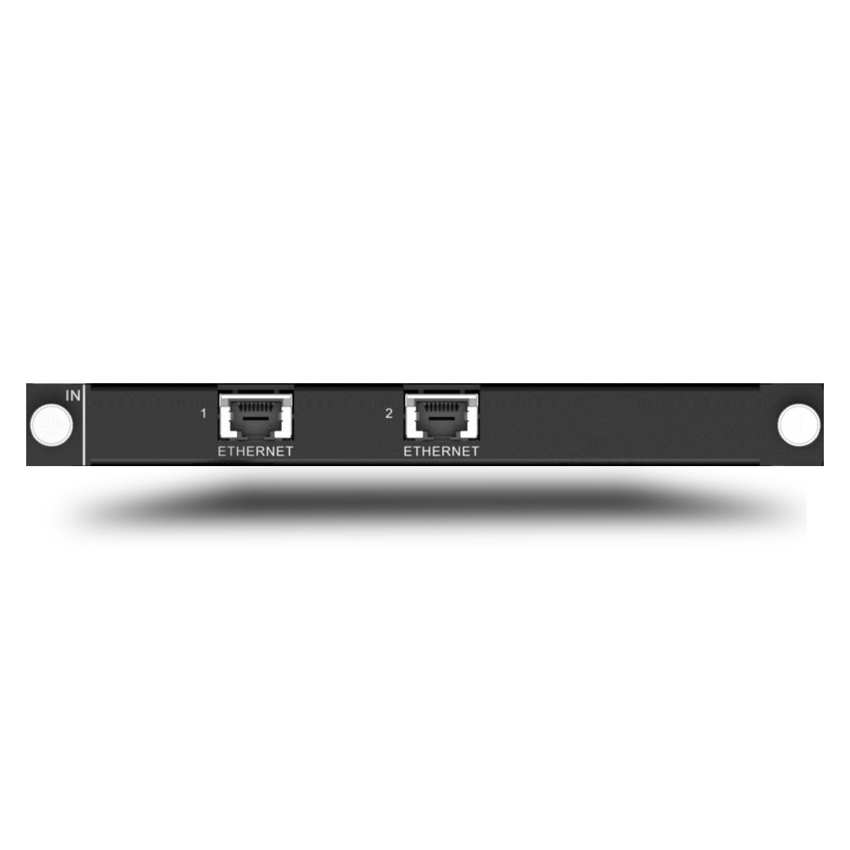 H_2xRJ45 IP input card