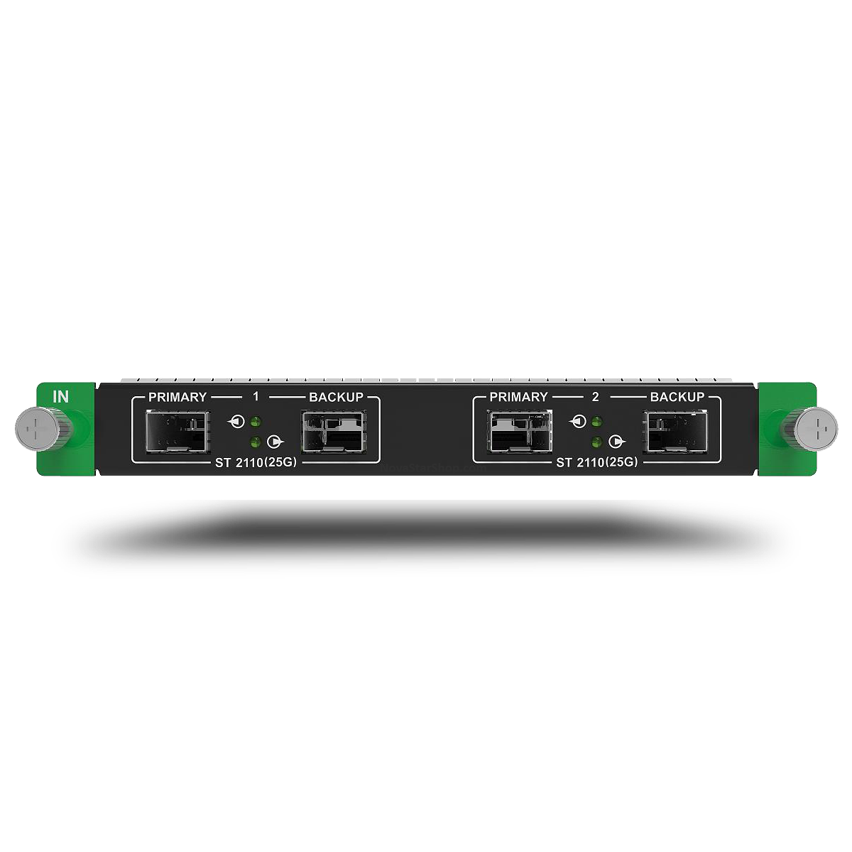 MX_2x2110(25G) input card
