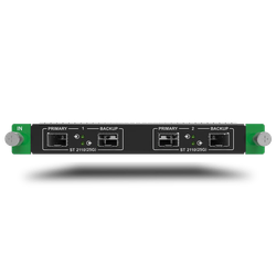 MX_2x2110(25G) input card