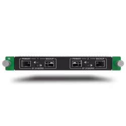 MX_2x2110(25G) input card