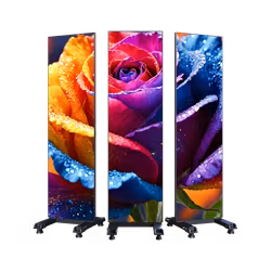 Wonderwall Poster