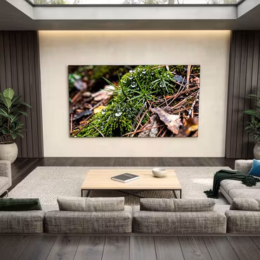 COB FHD P1.87 - Bundle