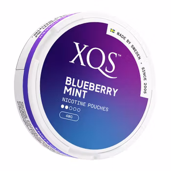 XQS Blueberry Mint Slim