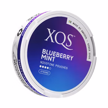 XQS Blueberry Mint Slim Strong