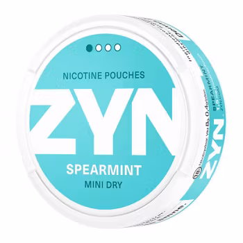 ZYN Spearmint Mini Dry