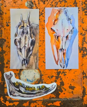 KLISTERMÄRKEN- Djurdelar