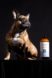 ALWAYS Clean Up Shampoo – Deep Cleaning Solution (Professional Line)