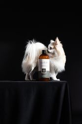 ALWAYS All Of Us Shampoo – Every breed deserves the best (Professional Line)
