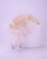 Always Toy Basket Buclé