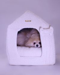 Always Bouclé House