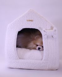 Always Bouclé House