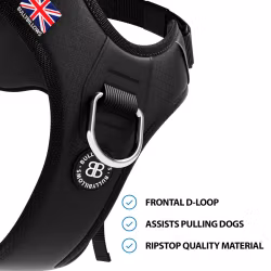 BULLY BILLOWS - HURRICANE HARNESS